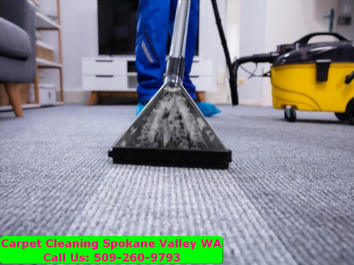 Spokane-Carpet-Cleaning-077.jpg
