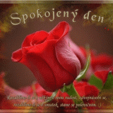 Spokojeny-den9988c182b670c2af