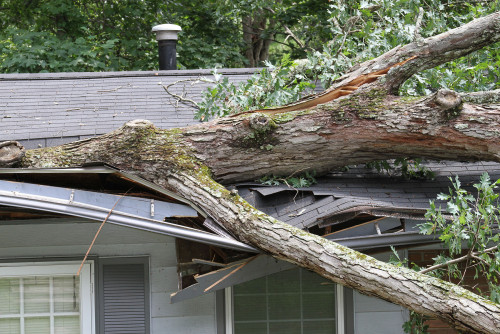 Storm-Damage-Restoration-in-Kelowna.jpg