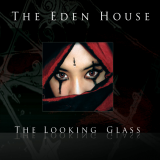 The-Looking-Glass