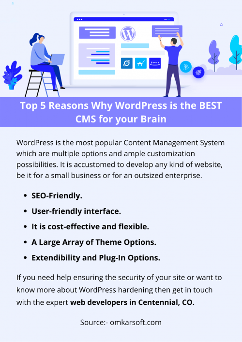 Top-5-Reasons-Why-WordPress-is-the-BEST-CMS-for-your-Brain.png