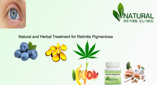 There have been some recent studies in which it said that Vitamin A in the palmitate form is an effective Herbal Treatment for Retinitis Pigmentosa for people who suffer from the conditions and this is a reason why doctors are recommending this Retinitis Pigmentosa Natural Treatment... https://www.naturalherbsclinic.com/blog/top-8-natural-treatments-for-retinitis-pigmentosa/