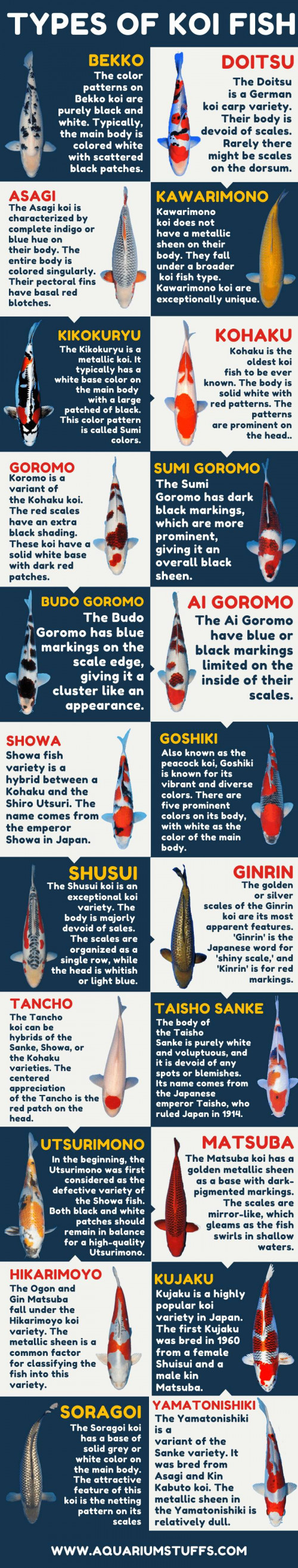 Types-of-Koi-Fish.jpg