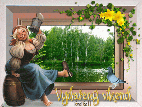 Vydareny-vikend98e9bb86411059d9.gif