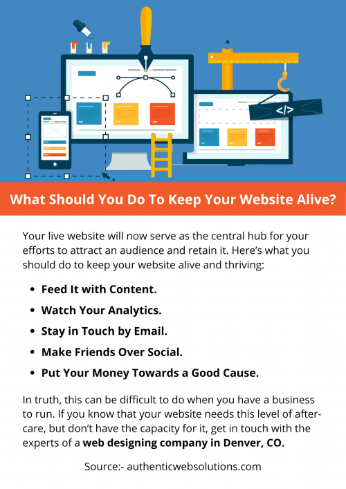 What-Should-You-Do-To-Keep-Your-Website-Alive.png