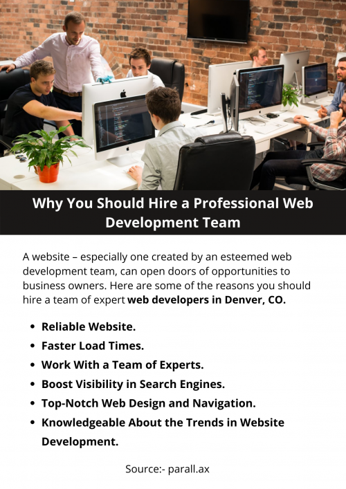 Why-You-Should-Hire-a-Professional-Web-Development-Team.png