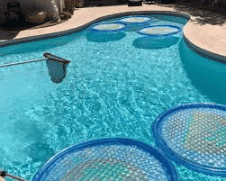 Worried about the algae buildup in your swimming pool? Call A PLUS Pool Service Company’s professionals for pool tile cleaning services in Las Vegas. Dial 702 - 707 – 3307.