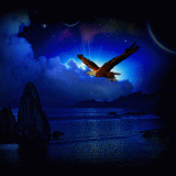 aquila