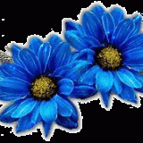 azzurr