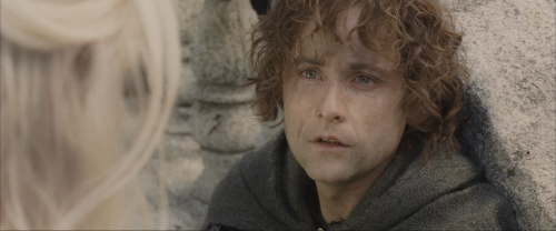 The.Lord.of.the.Rings.The.Return.of.the.King.2003.EE.BluRay.1080p.x265.10bit.2Audio.MNHD FRDS.mkv 20