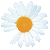 daisy ♡ by : me