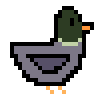 loved duck <3