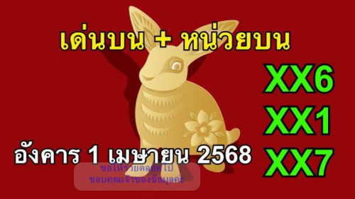484562868 1189251126537913 7232808214967597475 n