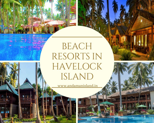 Pick your choice from the list of the best beach resorts in Havelock Island for comfortable & luxurious stay during your holidays to Andaman & Nicobar Islands at budget rates.
Reach us: https://www.andamanisland.in/hotel/destination/havelock-island