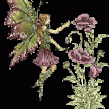 beige-plumfae