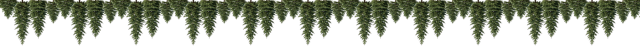 divider