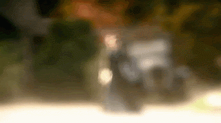 bpNMy.gif