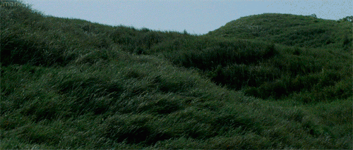 bpNpH.gif