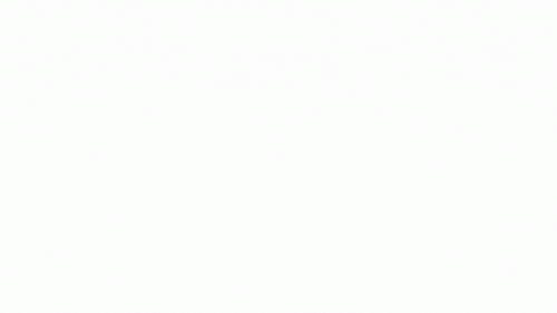 gif (2)