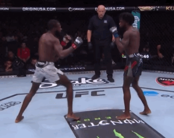 bpgC4.gif