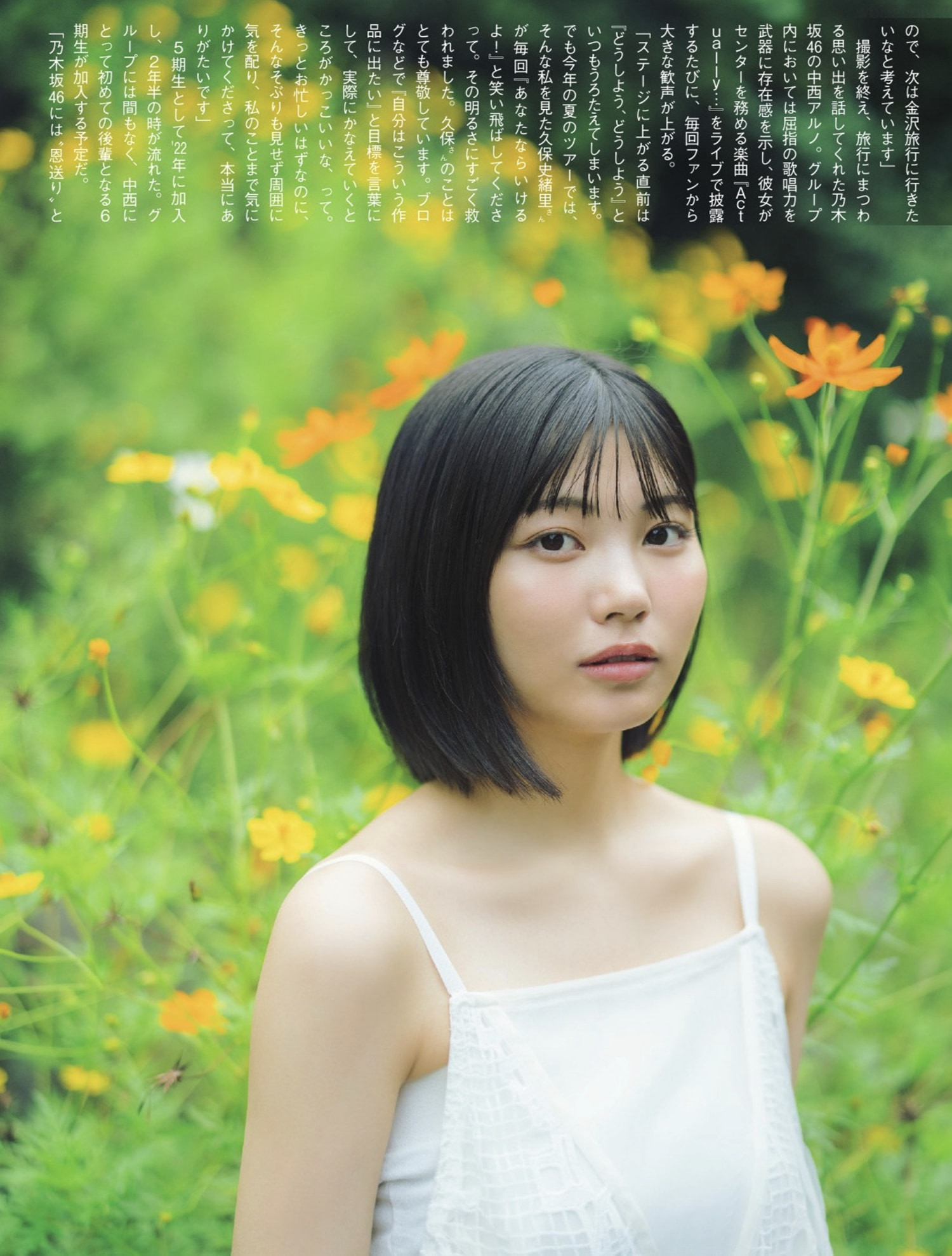 나카니시 아루노(中西アルノ, なかにし アルノ) - 플래시 2024/11.12•19