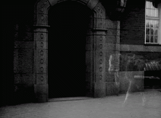 bpqlz.gif