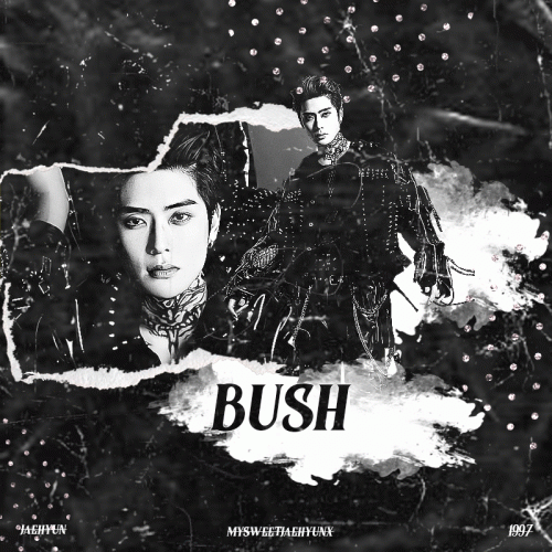 bush