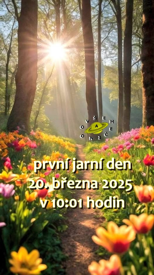 bz3ju.jpg