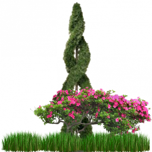 new tree 7