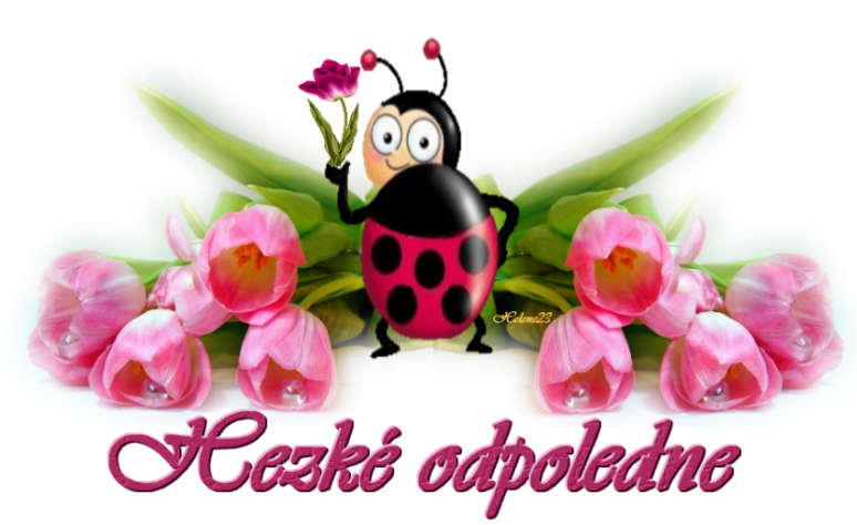 bzKv6.png