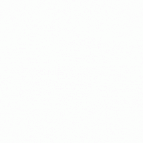 bzTOk.gif