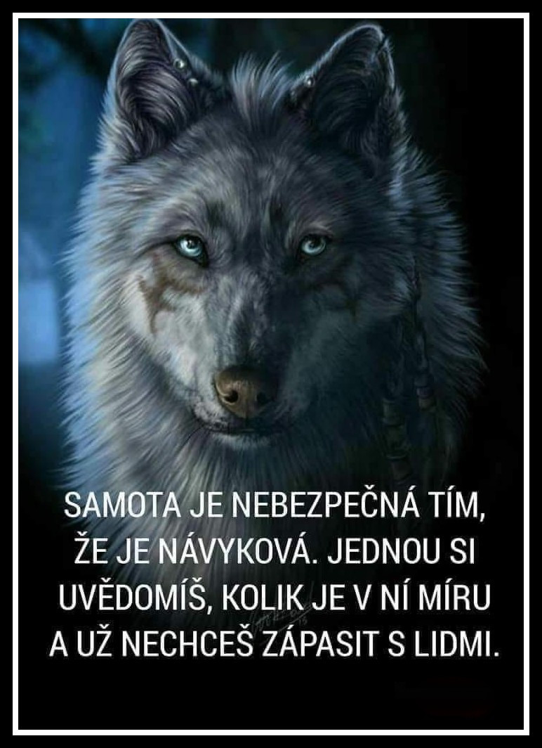 bzYF3.jpg