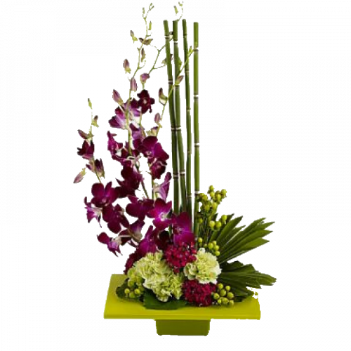 zen artistry by art of flowers 74.95 premium 1