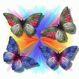farfalle-e