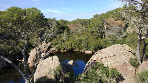 Alquiler coche menorca

Alquiler coches menorca, sin franquicia ni depósitos precios finales sin bloqueos en su tarjeta, entregas premium en aeropuerto sin esperas, sin cargos por combustible.

Visitar aquí:- https://www.menorcarent.com/