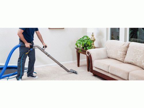At Gill Five Star, we ensure top-notch carpet cleaning and bond cleaning services in Brisbane Northside. Give us a call at 0472707043.https://www.gillfivestarcleaning.net/