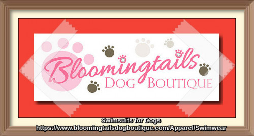 Let your pet enjoy the swim with adorable swimsuits for dogs and make him or her feel a part of your pool party. This summer make your dog the talk of the pool party with our wide range of swimwear of varied size and color.
https://www.bloomingtailsdogboutique.com/Apparel/Swimwear
