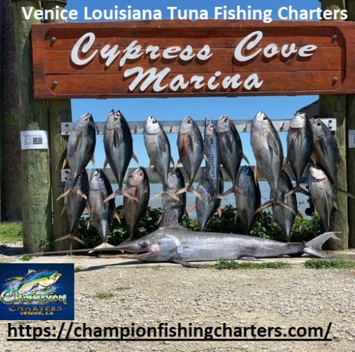 Champion Charters, the Venice Louisiana Fishing Charters Company, is situated in Venice Louisiana and focuses on deep sea Tuna fishing trips. We aim to bring you the joy of fishing as well as to assist you in catching them. Visit,https://bit.ly/3gmcNKn