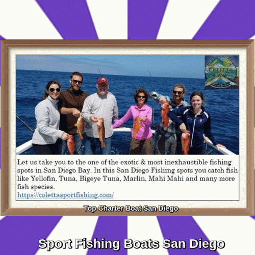 Coletta Sport Fishing Charters is the best deep sea fishing charter and charter boat service provider located in one of the hottest Sportfishing location in the United States: San Diego, California. For more information visit our website, https://colettasportfishing.com/