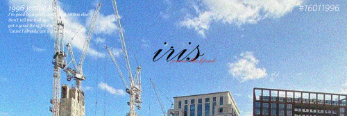 iris1.jpg