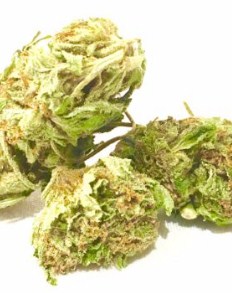 marijuanadispensary4all-4.jpg