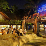 night-safari-singapore