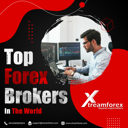 top-forex-broker.jpg