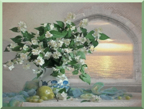 vaso fiori verde gif