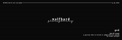 wolfhard h